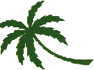 Palms to the Ground